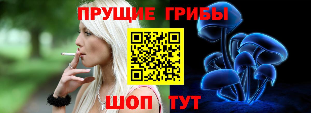 Псилоцибиновые грибы Psilocybe  Вход с VPN  цена   Магадан  Псилоцибиновые грибы GOLDEN TEACHER 